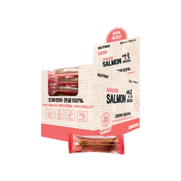 프리미엄 연골브러쉬 50P